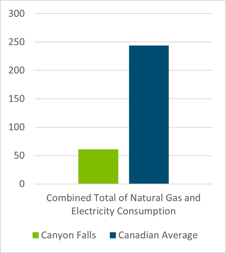 Canyon Falls electricity consumption